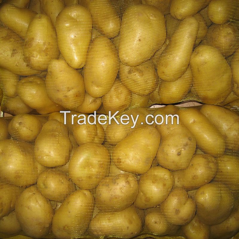 Potato fresh sweet potatoes high quality cheap price professional export wholesalers fresh potato