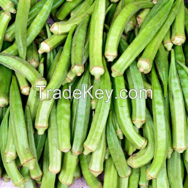 Rio Grande Okra Rich Vitamin C Antioxidant Okra Frozen Superfood Full with Flavor