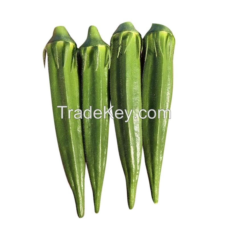 Chip Blade Special Shape 10 Tons 10 Kg Frozen Okra Natural Green 15 Cm Organic Cultivation Bulk /carton Fresh 90 Maturity