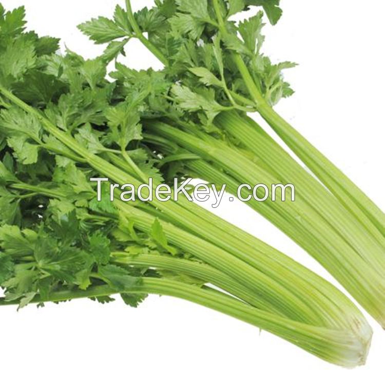 2021International Certification vegetables wholesale bulk frozen diced celer