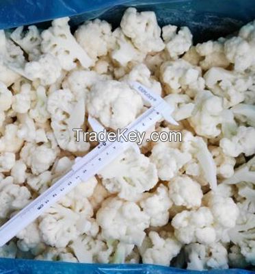 Best Oganic Selling Shandong Fresh Cauliflower And Frozen Cauliflower Products