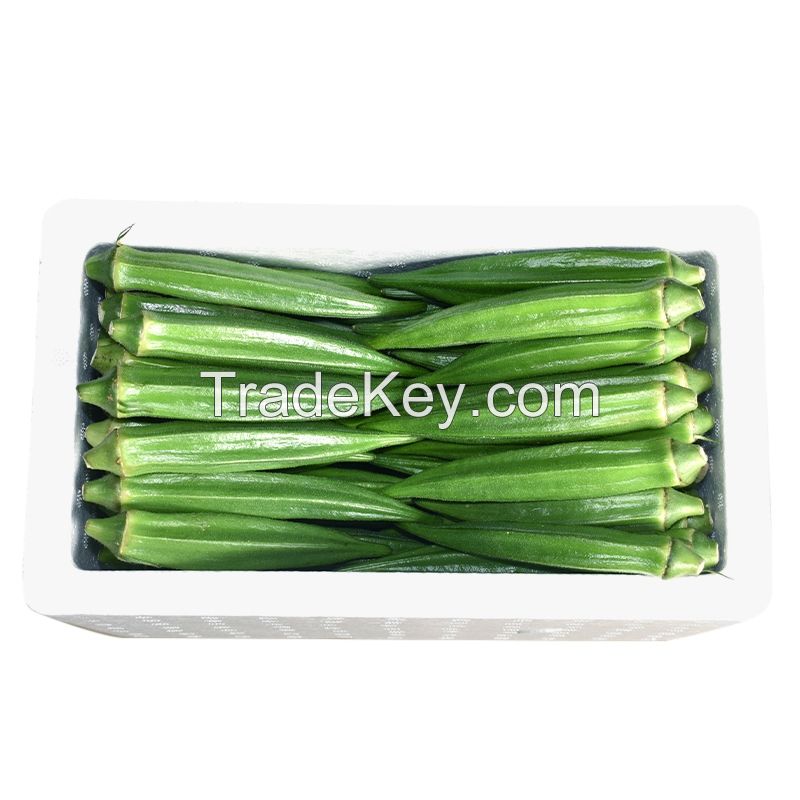 Chip Blade Special Shape 10 Tons 10 Kg Frozen Okra Natural Green 15 Cm Organic Cultivation Bulk /carton Fresh 90 Maturity