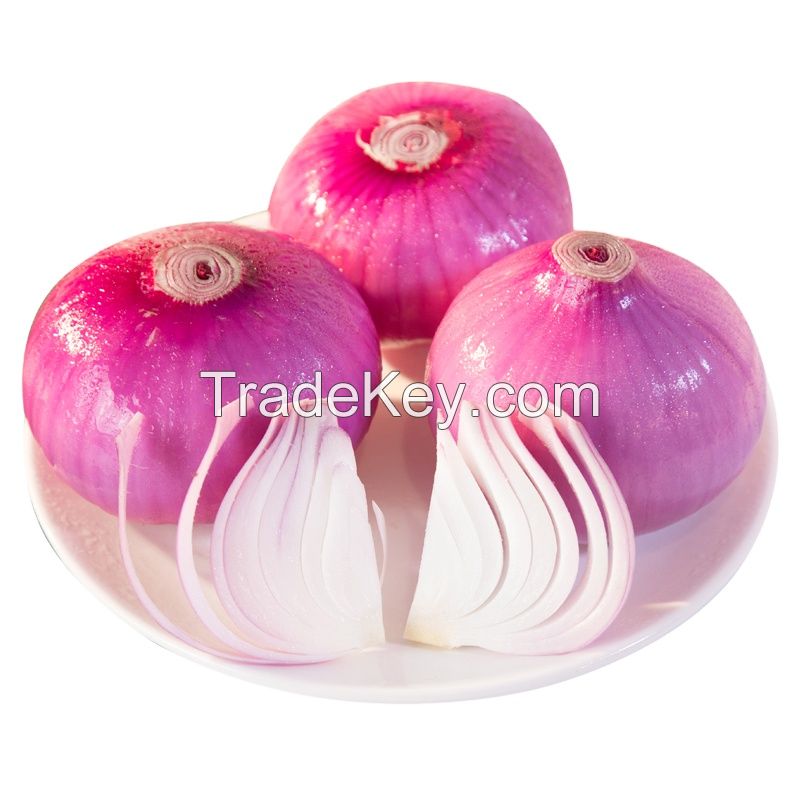 vegetable South African packing fresh red/yellow/white/brown onions for Export high quality price