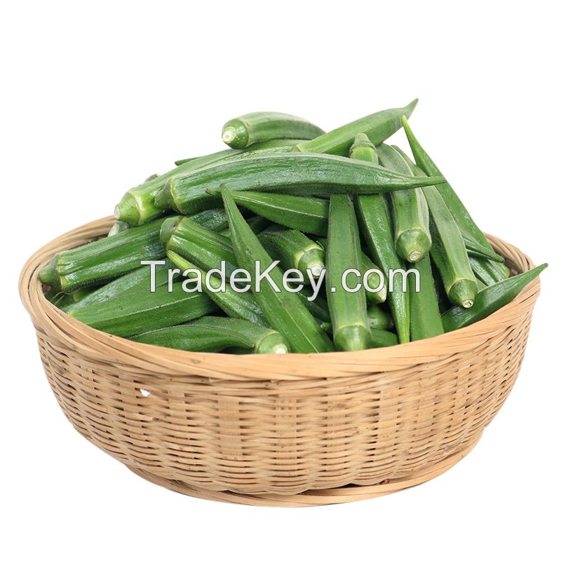 Chip Blade Special Shape 10 Tons 10 Kg Frozen Okra Natural Green 15 Cm Organic Cultivation Bulk /carton Fresh 90 Maturity