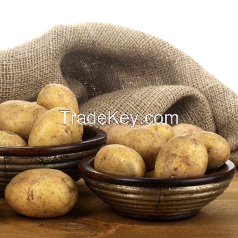 Potato fresh sweet potatoes high quality cheap price professional export wholesalers fresh potato