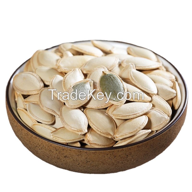 new crop Wholesale shine skin large size fresh South African Pumpkin Seeds market price