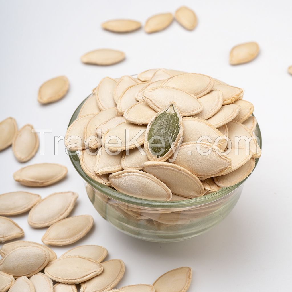 new crop Wholesale shine skin large size fresh South African Pumpkin Seeds market price