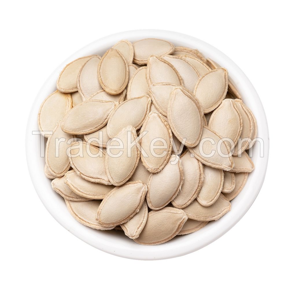 new crop Wholesale shine skin large size fresh South African Pumpkin Seeds market price