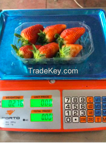 Wholesale agriculture fresh sweet tomatoes for sale market price