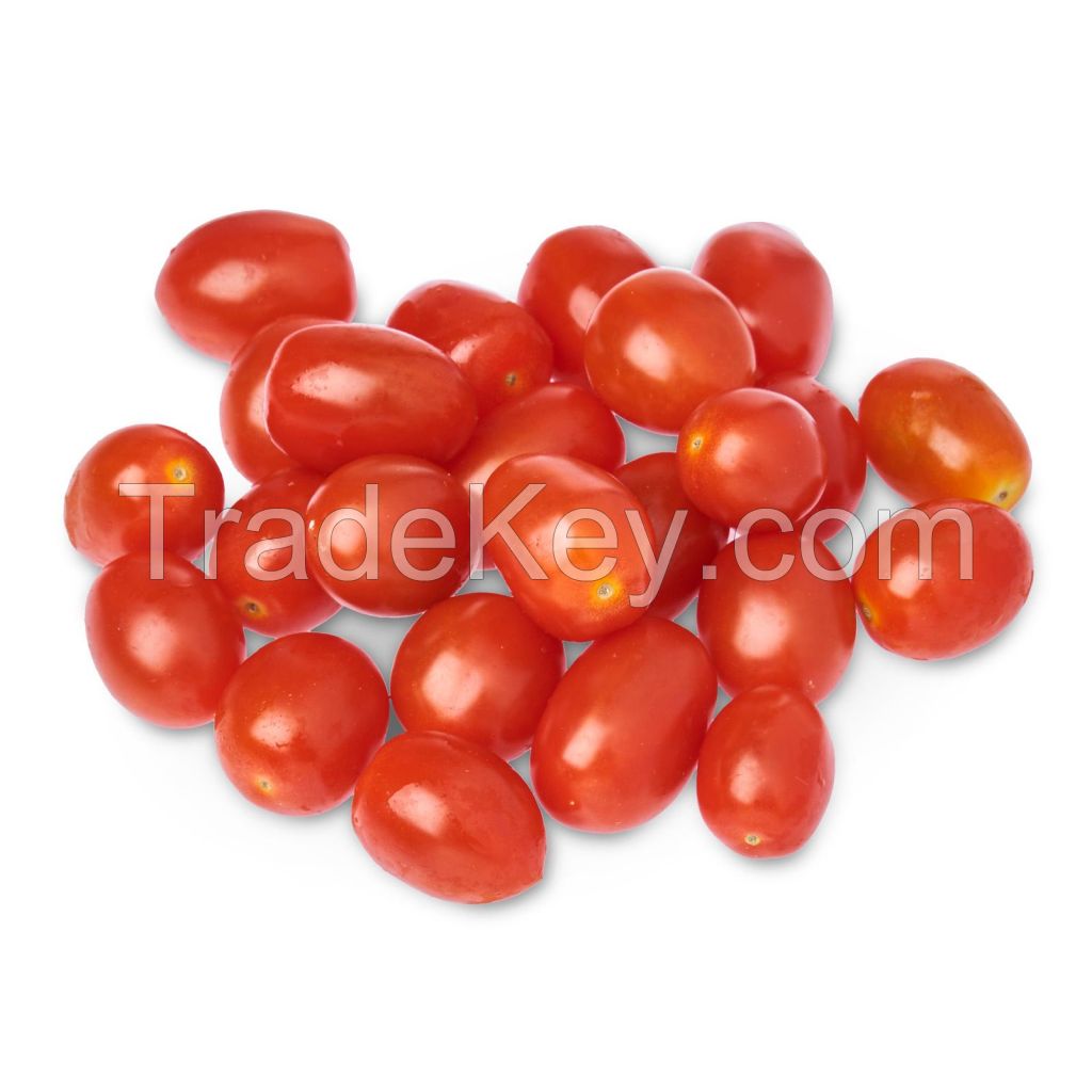 Fresh cherry tomato fruit South African for export with competive price and high quality avocado ready to shipping EU, ASIA, US Market