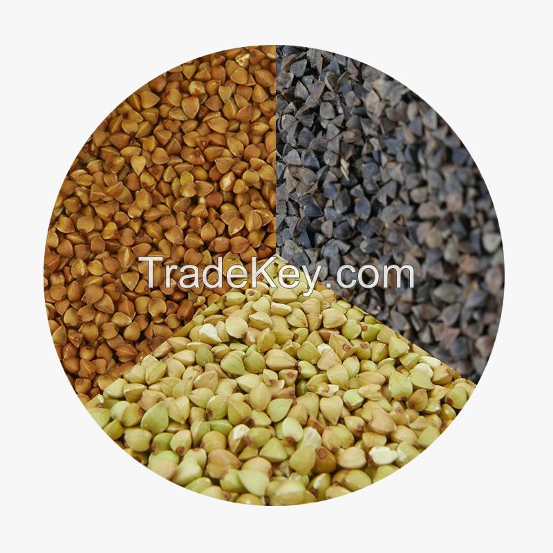 New crop Sweet Buckwheat grain raw buck wheat buckwheat kernels