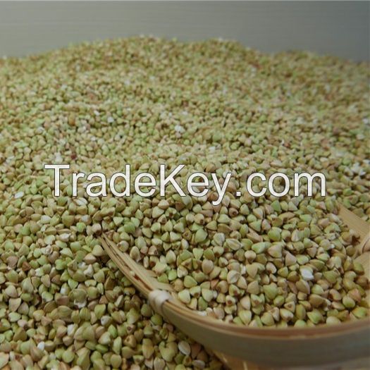 New crop Sweet Buckwheat grain raw buck wheat buckwheat kernels