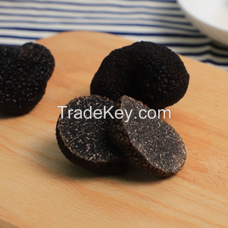 Free sample fresh shiitake cubensis truffles growing shelves Fungus mushroom