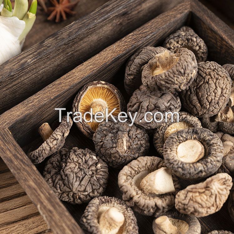 Qinling wild money small dried shiitake mushrooms, extra small 250g, special grade edulis, new mushrooms