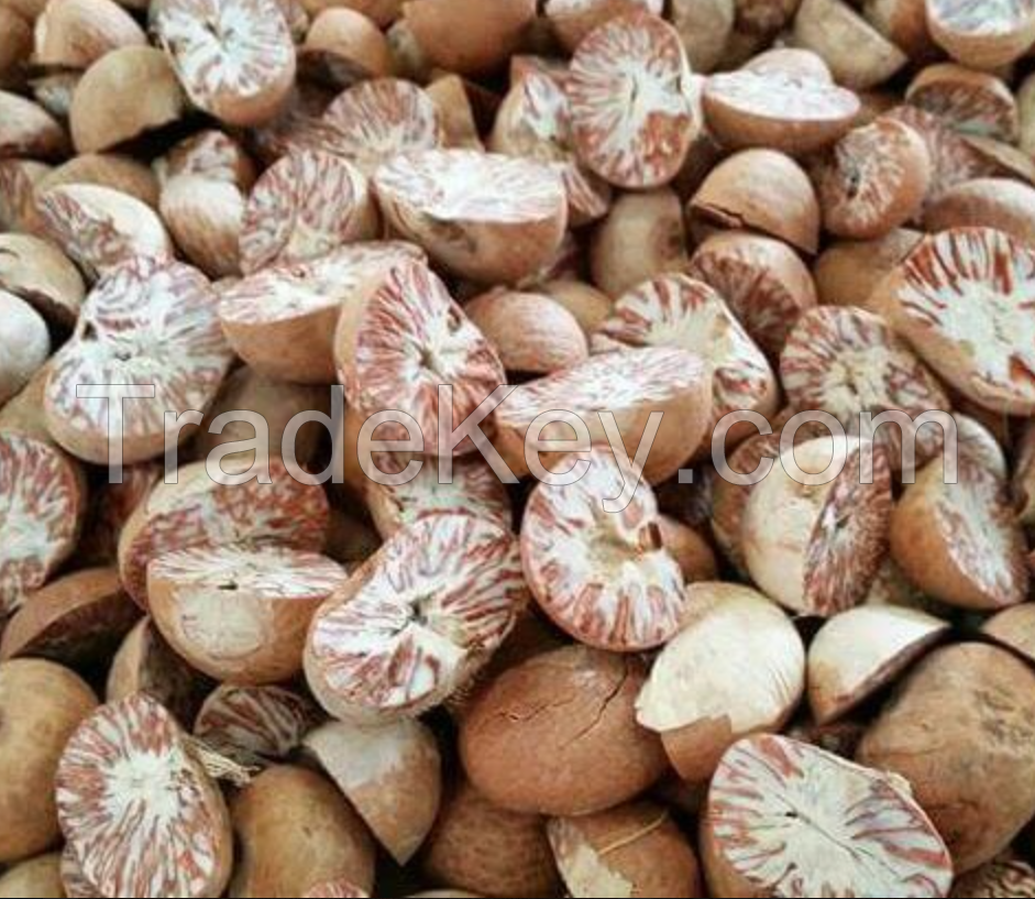 Wholesale Perfect Price 100% Natural Original Large Dried Grren Raw Betel Nut