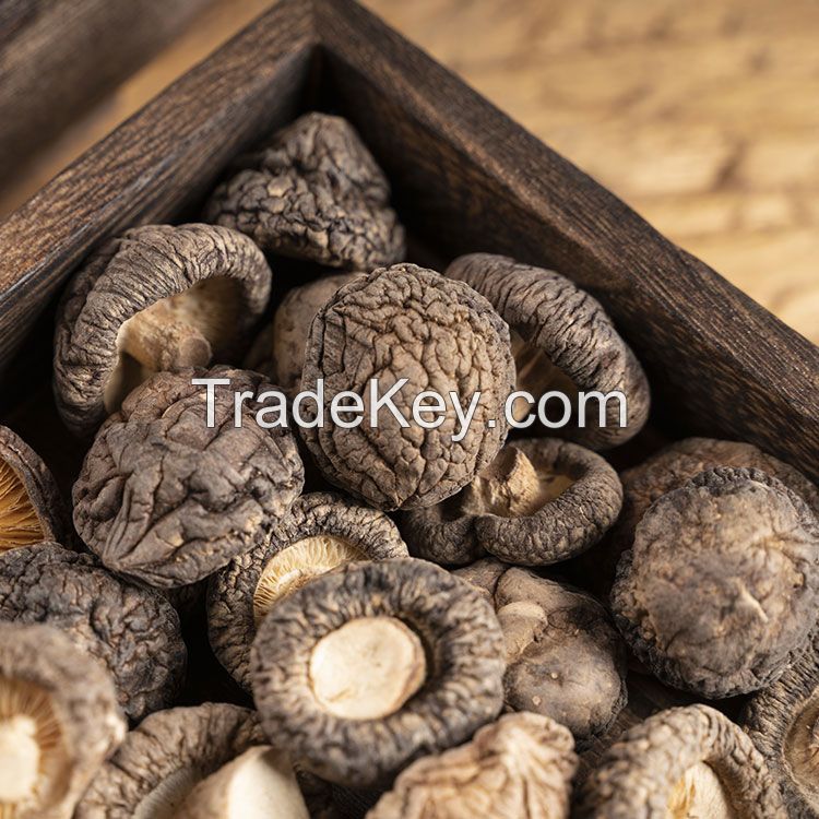 Qinling wild money small dried shiitake mushrooms, extra small 250g, special grade edulis, new mushrooms