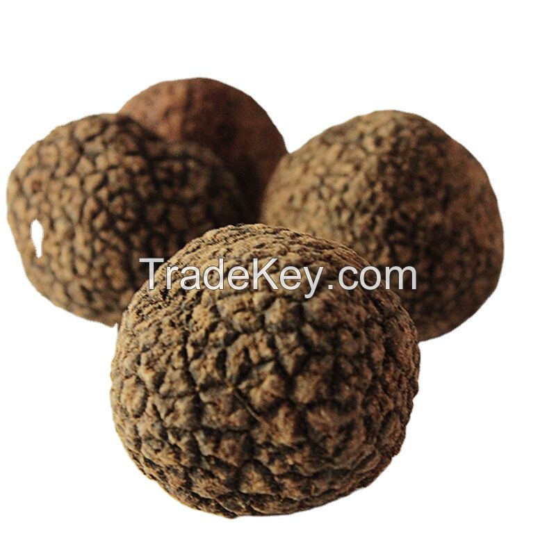 Free sample fresh shiitake cubensis truffles growing shelves Fungus mushroom