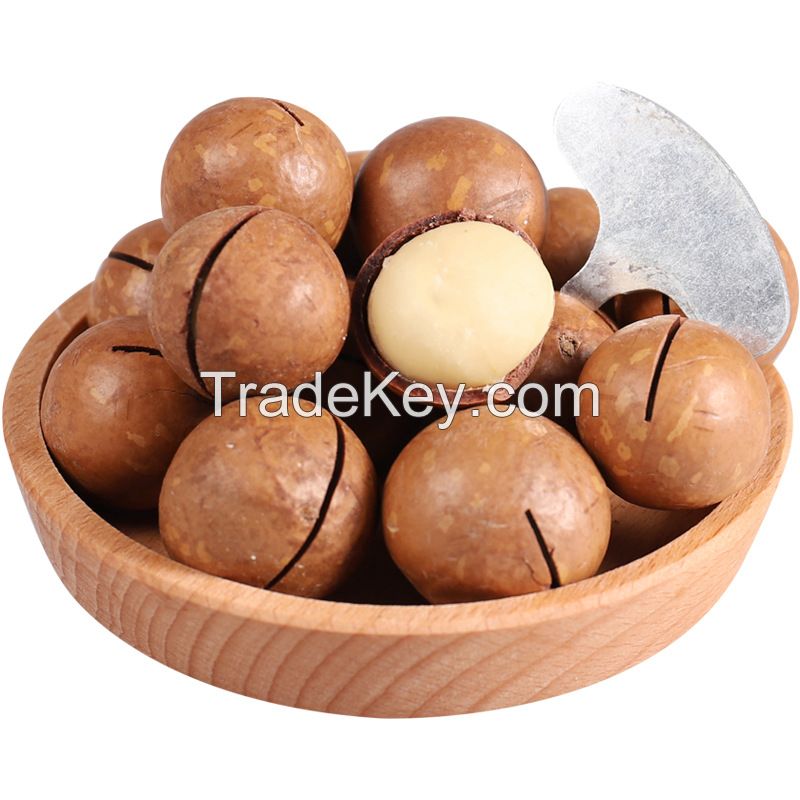 2020 New Crop Retail Bulk Wholesale Raw Cream Flavour Roasted Macadamia Nuts with Shell
