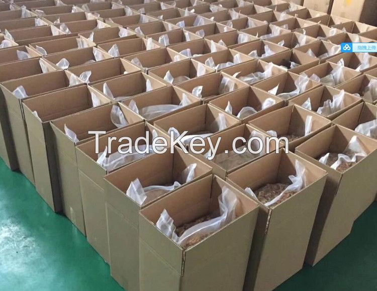 South Africa top grade wholesale cheap price yunnan 185 in shell walnuts kernels