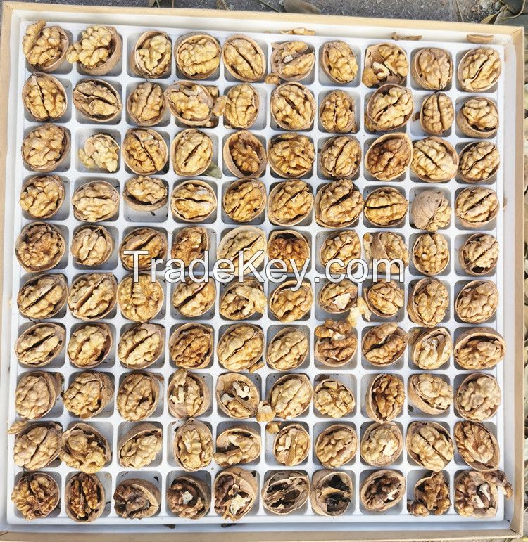 South Africa top grade wholesale cheap price yunnan 185 in shell walnuts kernels