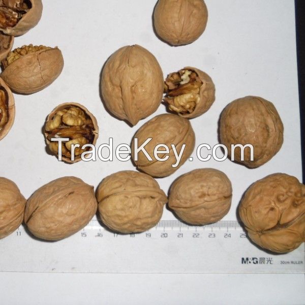 Top Rated Organic South African Walnut Halves 5 to 50 lb For Sale/Healthy Fresh Walnut Halves Best Brand Purchase