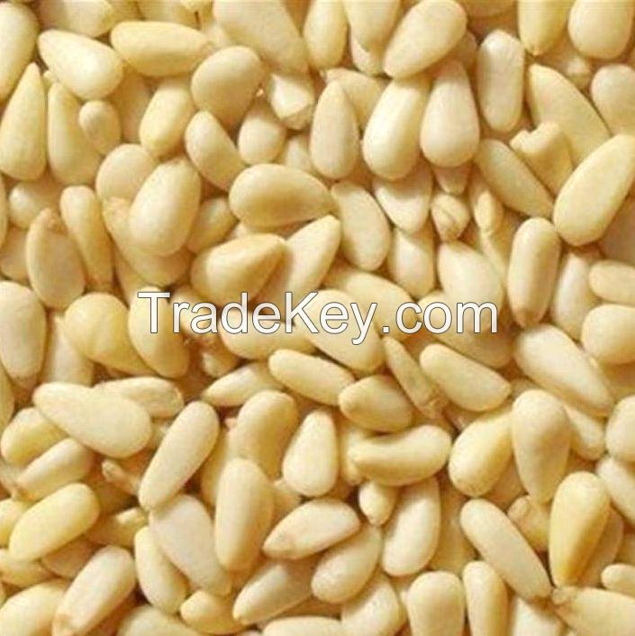 Buy Top Shelf New Pine Nuts at competitive Prices From top Ranking Bulk SuppliersBuy Top Shelf New Pine Nuts at competitive Prices From top Ranking Bulk SuppliersBuy Top Shelf New Pine Nuts at competitive Prices From top Ranking Bulk Suppliers