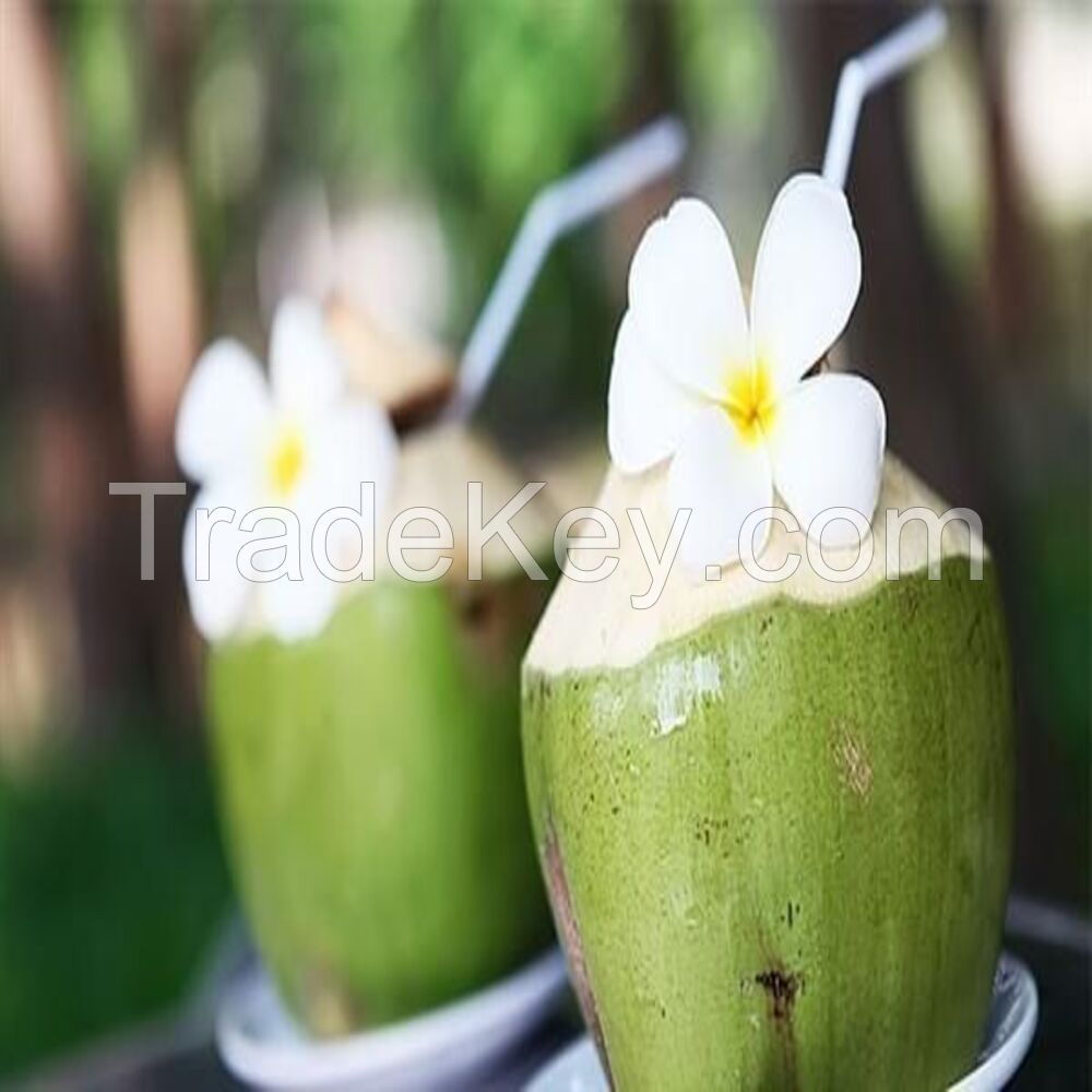 fresh young coconut price Fruit from Thailand Drinking for Healthy With Weight 1,000 g