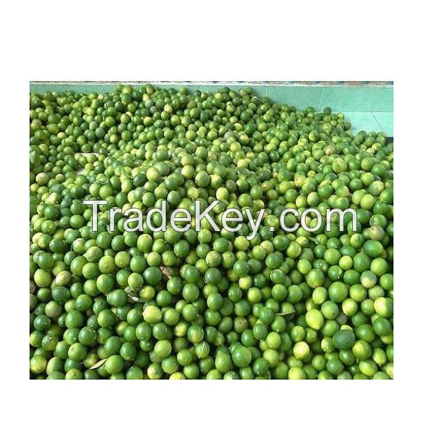 HOT SALE FRESH GREEN LIME/ SEEDLESS LIME/ SEEDLESS LIME CHEAP PRICE FROM SOUTH AFRICA