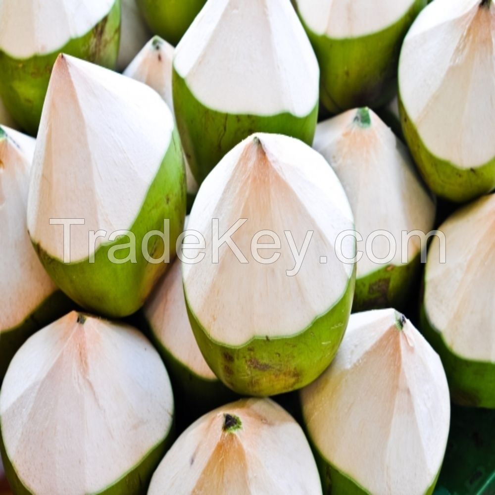 fresh young coconut price Fruit from Thailand Drinking for Healthy With Weight 1,000 g