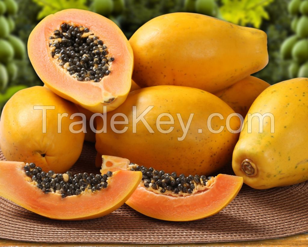 Papayas PAPAYA 100% Natural South Africa High Quality Green/yellow Oval a Grade Yellow Sunrise Papaya Fruit Sweet 2 Kg Fresh 1-3 Week