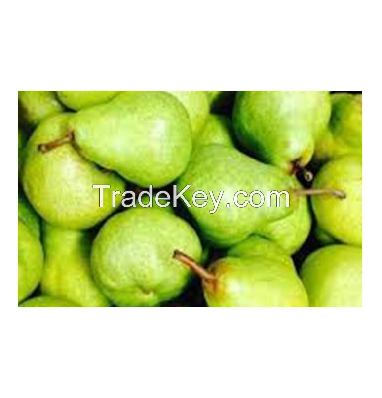 SOUTH AFRICA SUPER QUALITY FRESH PACKHAM TRIUMPH PEARS FOR WHOLESALE