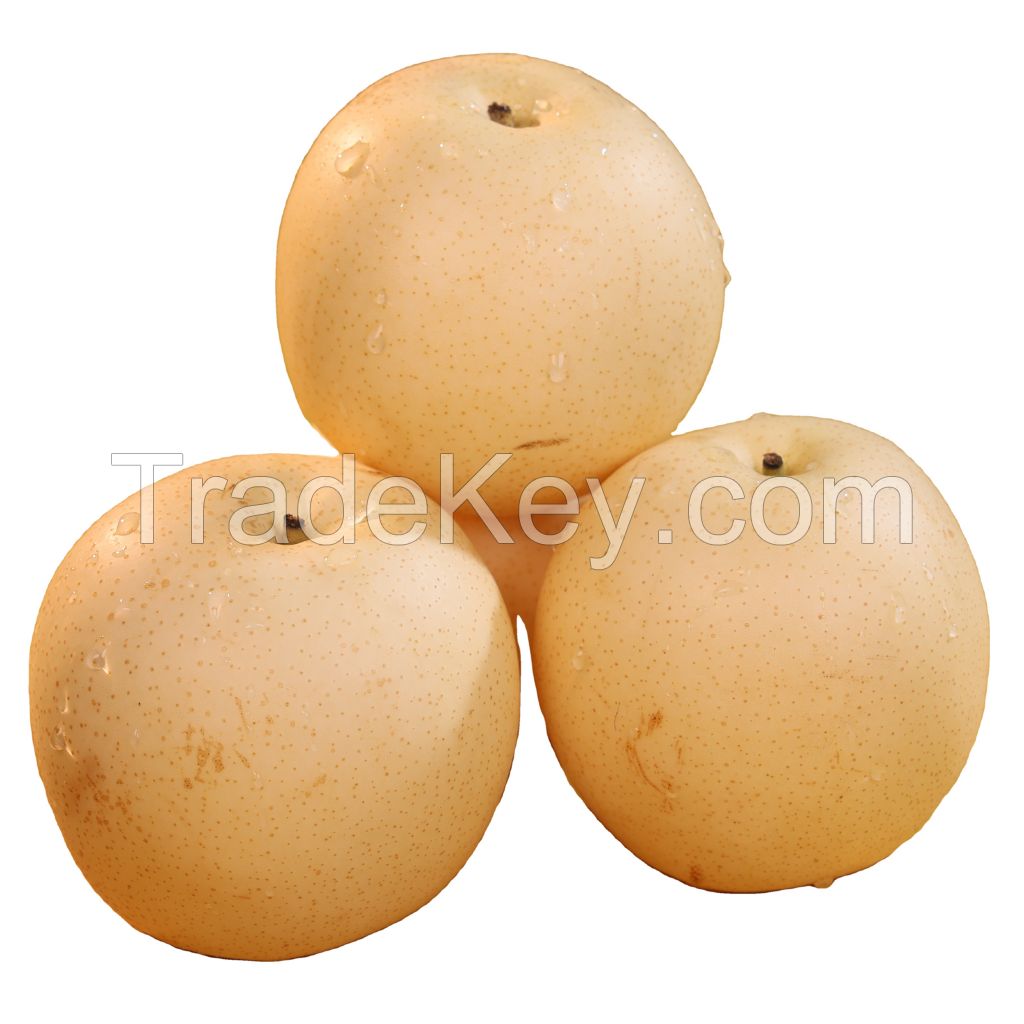 Top Quality Export price Sweet Fresh South African Golden Pear Snow Pear