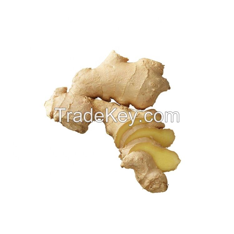 Ginger fresh organic ginger newest crop in bulk professional export gengibre fresh ginger