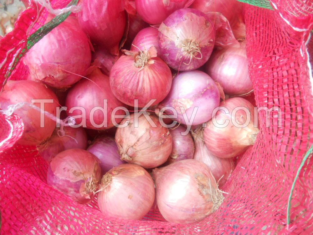 2021 new crop South Africa fresh yellow onion and red onion market price is lowest