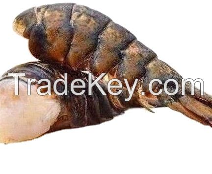whole sale Fresh Quality red Lobster/live maine lobster/Frozen red Lobster for sale