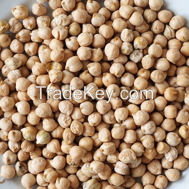Chickpeas Natural Wholesale Organic Top Quality Chickpeas/Kabuli Chick Peas Garbanzo Bean