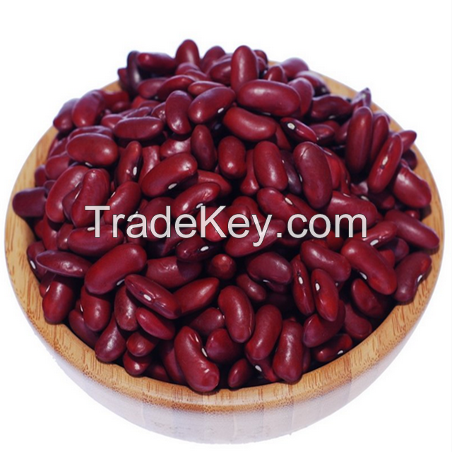 Kidney Beans Beans sugar pinto beans for sale Black White Red Cranberry Jugo