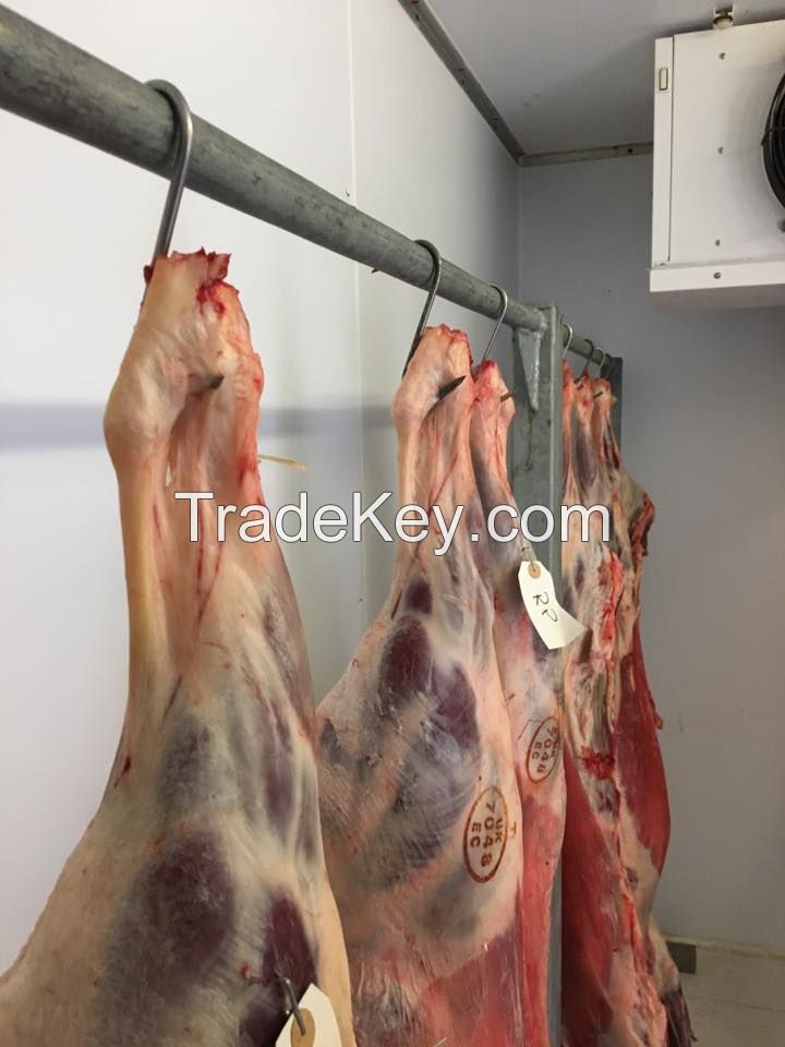 Frozen Lamb Meat,Mutton,Goat,Veal,Beef,Venison and Carcass On Sales with Competitive Prices.