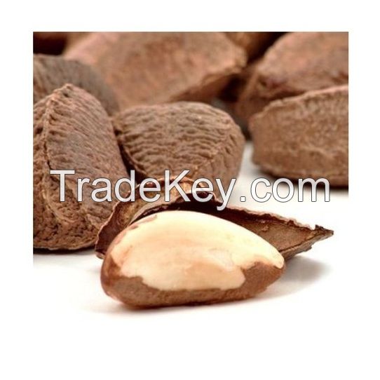 Nuts Kind of Brazil Fresh Seasoned Stock of All Raw Brazil Nut Customize Packaging Dried 100 % Natural Organic Cultivation