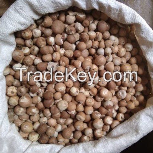 Dried Whole / Split Betel Nuts / Areca Nuts Top Grade Wholesale From South Africa