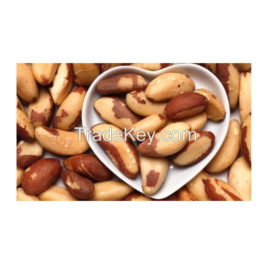 Nuts Kind of Brazil Fresh Seasoned Stock of All Raw Brazil Nut Customize Packaging Dried 100 % Natural Organic Cultivation