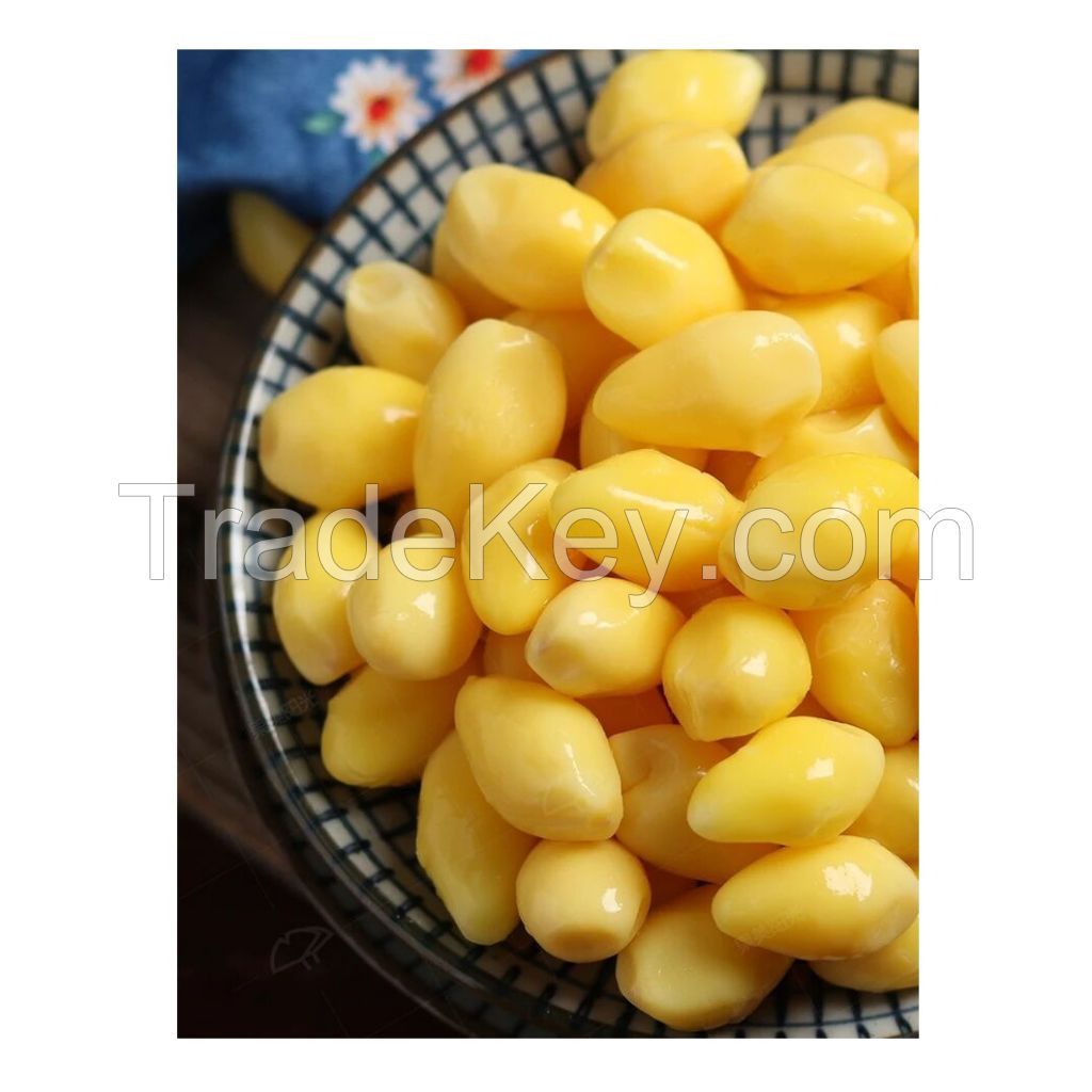 Best Wholesale Dealer Of Raw Ginkgo Nuts available Here Fresh Stock In bulk