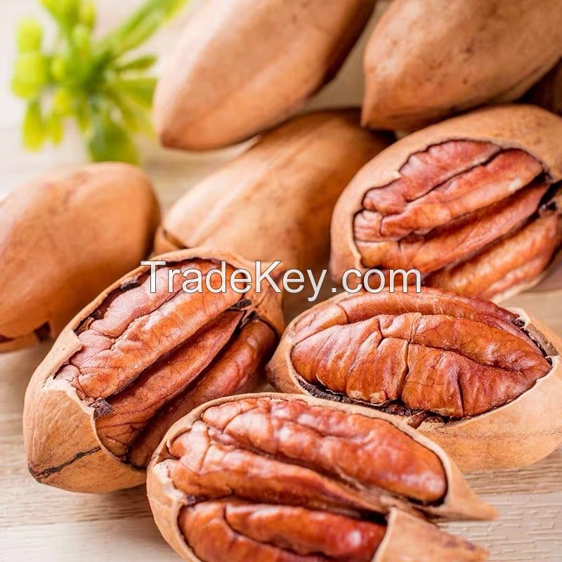 Pecan nuts kernels seeds halves dry natural whole dried jumbo size in shell baking material