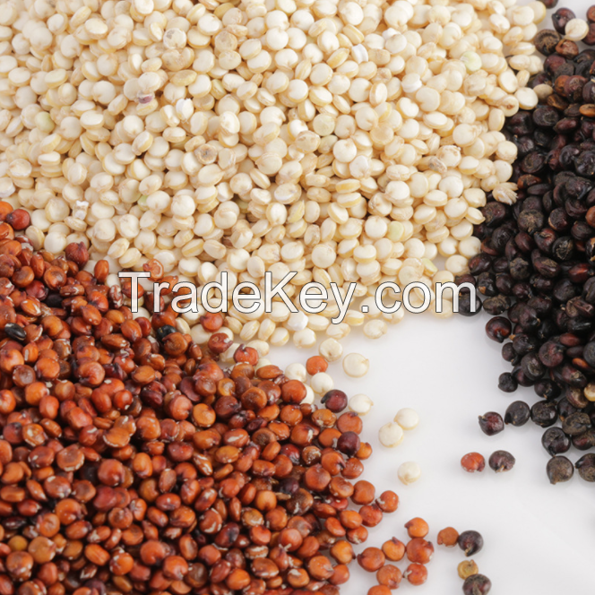 Black White Red Whole Grain Total Nutrition Total Protein alkalinity Pure Natural Organic Tricolor Quinoa Seeds