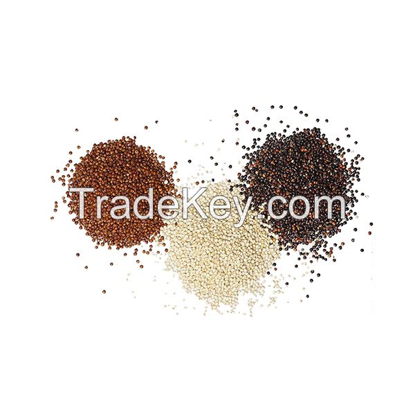 Black White Red Whole Grain Total Nutrition Total Protein alkalinity Pure Natural Organic Tricolor Quinoa Seeds