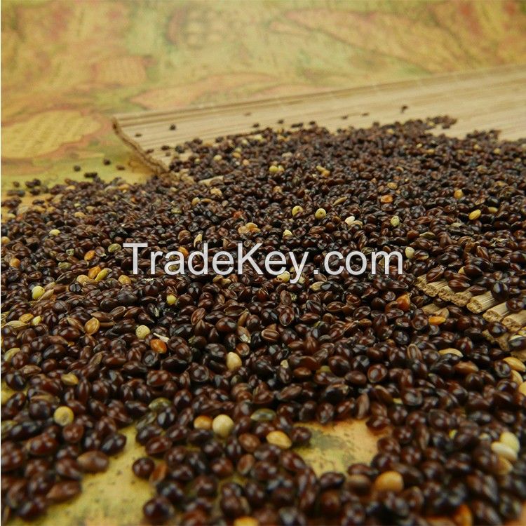 White Red Black Yellow millet Glutinous Broomcorn Millet Sticky Millet For Bird seeds