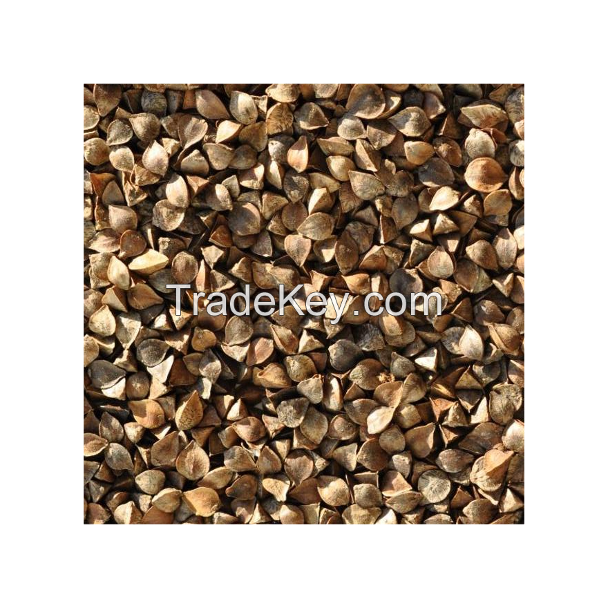 Factory Buckwheat hulls wholesale buckwheat husk with factory price triple cleaned