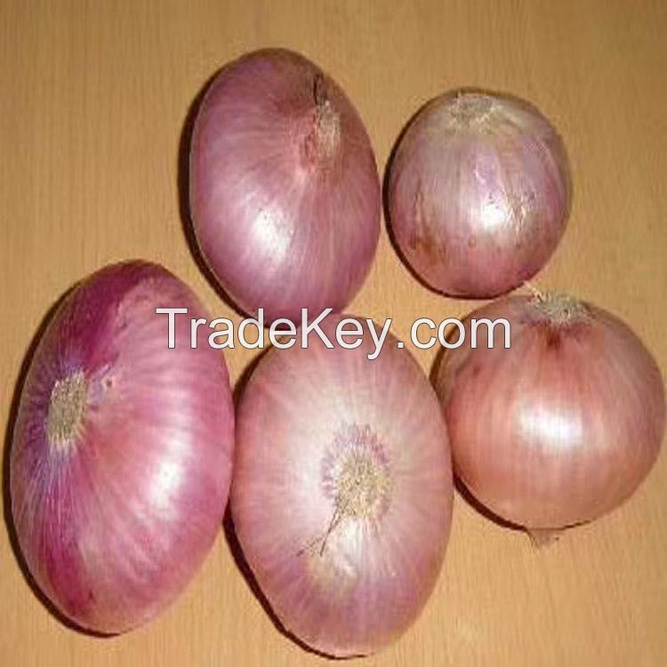 Best selling durable using yellow fresh onion pelled yellow onions