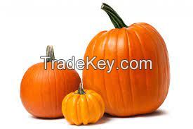 100% Export Oriented Best Quality Fresh Sweet Pumpkin Available in Bulk