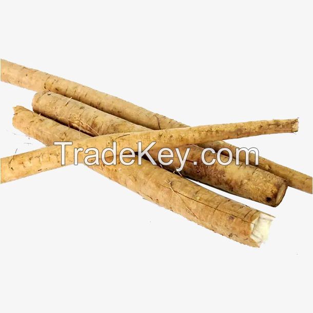 Fresh Burdock For Sale / Extract burdock / High Quality Pure Natural Burdock Root